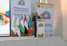اختتام المهرجان الدولي الثاني للتمور الإثيوبية 38 المهرجان الدولي