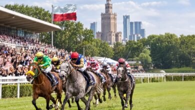 11 خيلًا تتنافس غدًا في بولندا على لقب كأس رئيس الدولة للخيول العربية الأصيلة 2 كأس رئيس الدولة