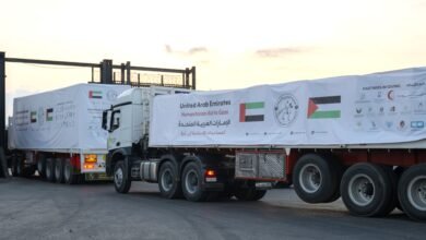 الفارس الشهم 3