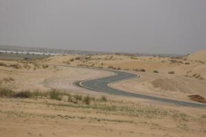 محمية دبي الصحراوية.. نموذج وطني لصون التنوع البيولوجي واستدامة النظم البيئية