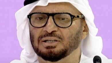 انور قرقاش أمن السعودية من أمن الإمارات 7 انور قرقاش أمن السعودية من أمن الإمارات