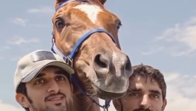حمدان بن محمد