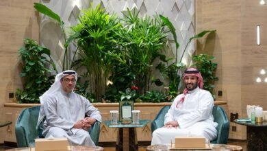 منصور بن زايد وولي عهد السعودية يبحثان العلاقات الأخوية