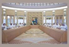 حمدان بن زايد يطّلع على استعدادات وخطط مهرجان ليوا الدولي (ليوا 2027) 16 حمدان بن زايد يطّلع على استعدادات وخطط مهرجان ليوا الدولي (ليوا 2027)