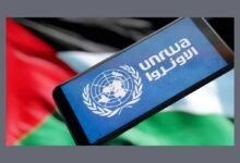 الأمم المتحدة تحذر من توقف خدمات الأونروا لملايين اللاجئين الفلسطينيين 39 الأمم المتحدة تحذر من توقف خدمات الأونروا لملايين اللاجئين الفلسطينيين