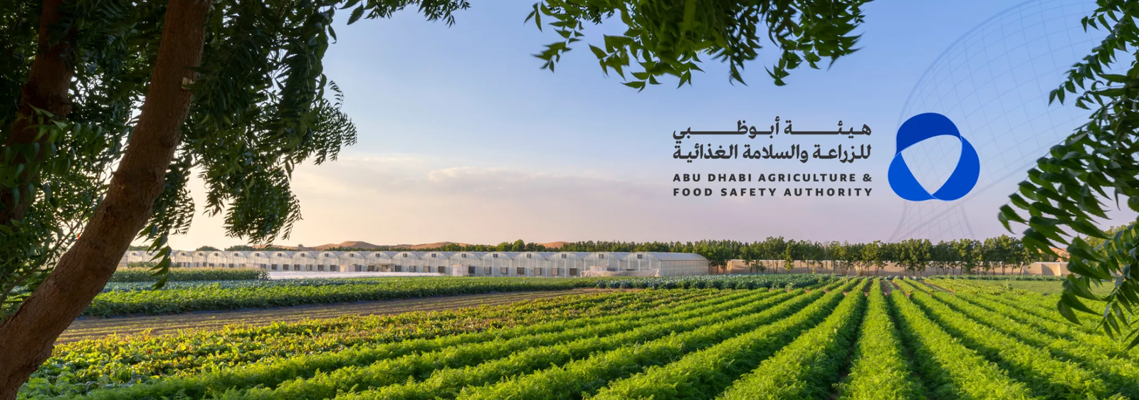 هيئة أبوظبي للزراعة والسلامة الغذائية تطلق هُويتها المؤسسية الجديدة 1 هيئة أبوظبي للزراعة