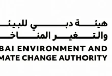 هيئة دبي