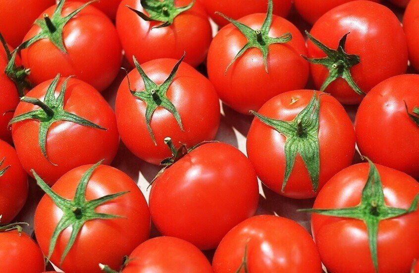 سر غذائي في الطماطم المطبوخة.. تعرف عليه 1 الطماطم