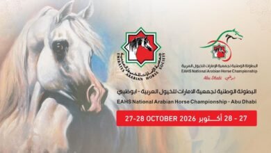 انطلاق البطولة الوطنية لجمعية الإمارات للخيول العربية غداً بمشاركة 253 خيلا 2 لجمعية الإمارات للخيول العربية