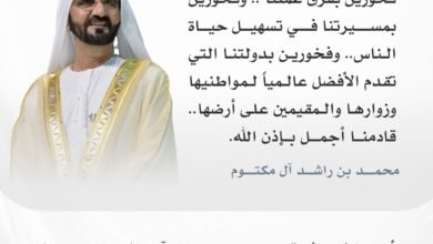 الإمارات الأولى عالميا في رضا المتعاملين واستخدام الخدمات الحكومية الرقمية 3 الإمارات