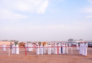 مزاينة سويحان بمهرجان الظفرة تسجل دخول 339 مطية في يومها الأول 4 مزاينة سويحان بمهرجان الظفرة تسجل دخول 339 مطية في يومها الأول