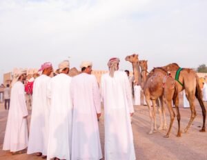 مزاينة سويحان بمهرجان الظفرة تسجل دخول 339 مطية في يومها الأول 3 مزاينة سويحان بمهرجان الظفرة تسجل دخول 339 مطية في يومها الأول