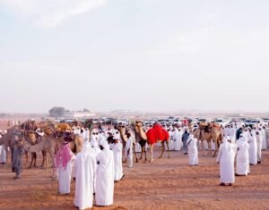مزاينة سويحان بمهرجان الظفرة تسجل دخول 339 مطية في يومها الأول 7 مزاينة سويحان بمهرجان الظفرة تسجل دخول 339 مطية في يومها الأول