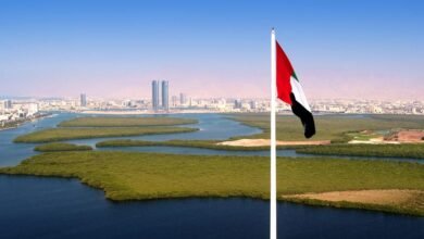 "فيتش" تثبت تصنيف رأس الخيمة الائتماني عند "+A" وترفع توقعاتها لنمو اقتصاد الإمارة خلال 2026 3 فيتش
