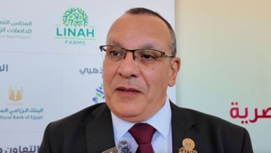 رئيس اللجنة العلمية لمهرجان التمور المصرية يشيد بالتعاون بين الإمارات ومصر بقطاع النخيل والتمور 2 رئيس اللجنة العلمية لمهرجان التمور المصرية يشيد بالتعاون بين الإمارات ومصر بقطاع النخيل والتمور