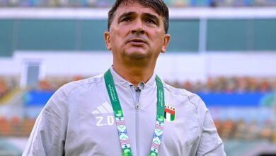 زلاتكو داليتش
