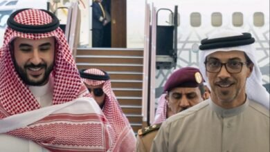 منصور بن زايد يبحث مع خالد بن سلمان العلاقات الأخوية الراسخة