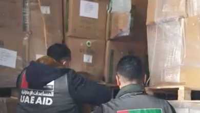 "الفارس الشهم 3"