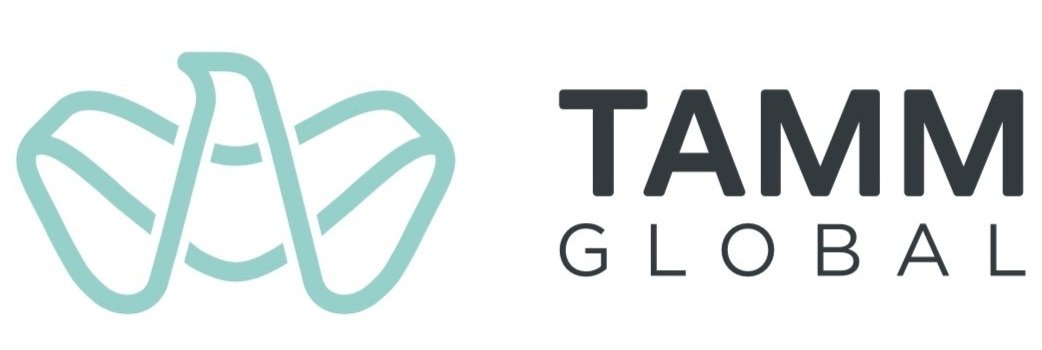 أبوظبي تطلق TAMM Global لتقديم نموذج عمل منصتها الحكومية الذكية المدعومة بالذكاء الاصطناعي إلى حكومات العالم 1 أبوظبي