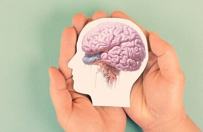 أطعمة تحسن وظائف الدماغ.. تعرف عليها 1 الدماغ