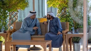 محمد بن راشد يلتقي منصور بن زايد ويبحث معه عدداً من الموضوعات والقضايا المتصلة بالشأن الوطني