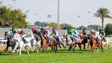 مضمار أبوظبي يفتتح الموسم الوطني لسباقات الخيل غدًا