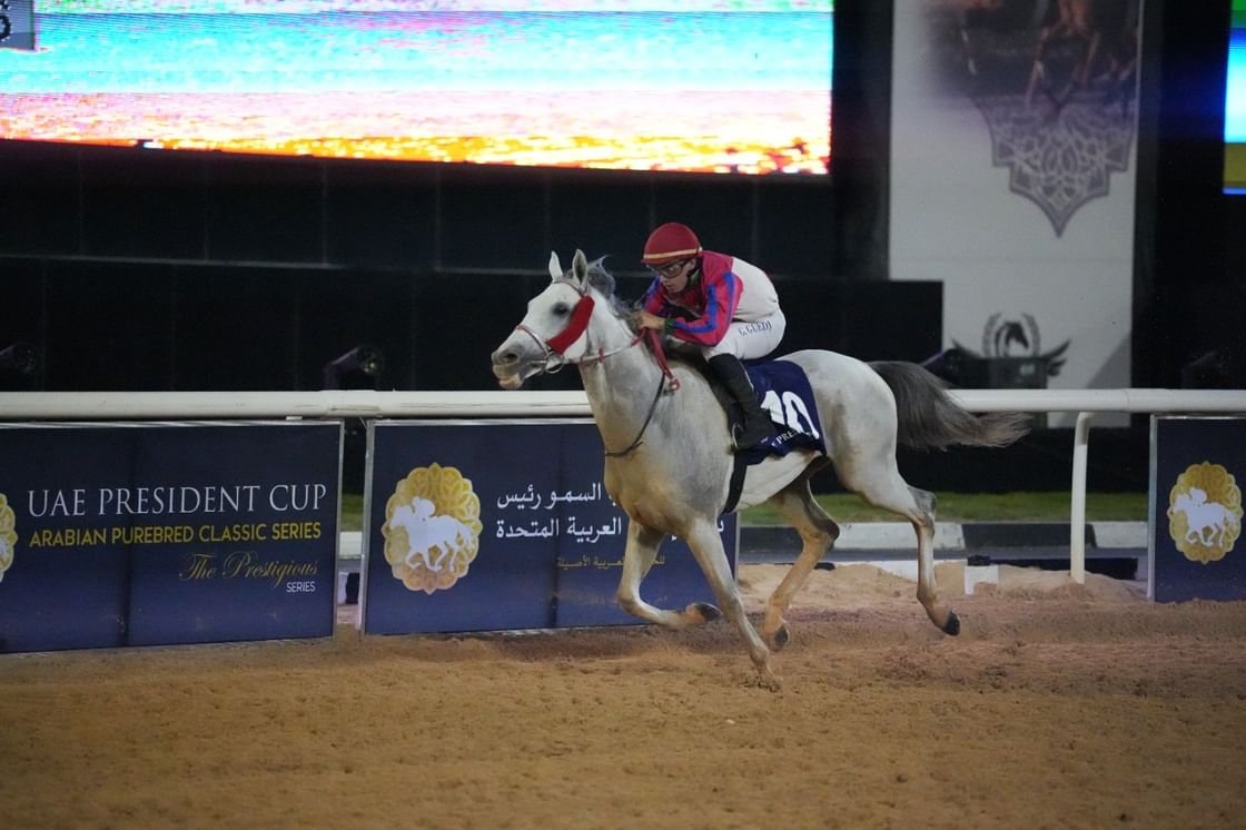 في بنغازي.. 15 خيلًا تتنافس على لقب كأس رئيس الدولة للخيول العربية 1 في بنغازي.. 15 خيلًا تتنافس على لقب كأس رئيس الدولة للخيول العربية